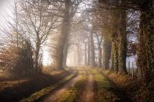 Nicolas RIFFAUD - Nicolas RIFFAUD