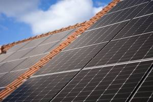 Loïc CHALMANDRIER - NEW VISION