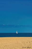 Thomas LAFARGUE - LAFARGUE THOMAS