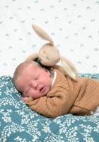 Amandine LAMRI - LAMRI