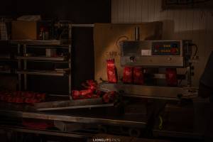 Lionel ROBERTIN - LIONELITO PICS