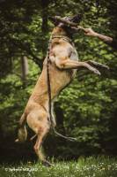 Jérémie MOLARO - F & F PHOTOGRAPHIE