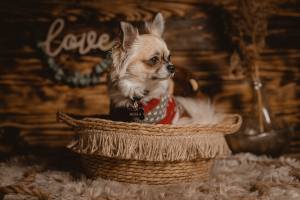 Sébastien NIGGLI - DARKCUBE